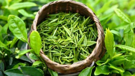 Đài Loan (Trung Quốc) lưu ý về Giấy chứng nhận kiểm dịch thực vật