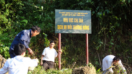 Phát huy hiệu quả chính sách chi trả dịch vụ môi trường rừng