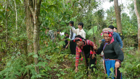 Quỹ Bảo vệ và phát triển rừng Việt Nam tìm hướng phát triển các nguồn thu dịch vụ môi trường rừng
