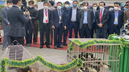 Giới thiệu công nghệ mới tại Hội thi Vịt Cỏ Vân Đình lần thứ nhất