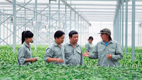 GlobalGAP - Hộ chiếu để nông phẩm Việt tiếp cận thị trường EU