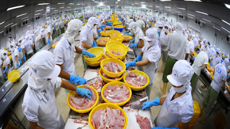 Bà Rịa-Vũng Tàu: Nông, Lâm, Thủy sản sau chế biến - Cơ hội kết nối xuất khẩu