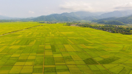 Điện Biên: Gắn chế biến nông sản với phát triển vùng nguyên liệu