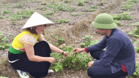 Mở cơ hội việc làm, thị trường ở các xã thuộc vùng đồng bào dân tộc thiểu số