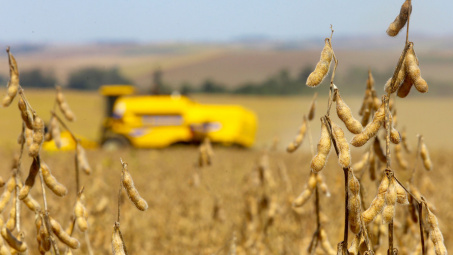 Giá nông sản thế giới chịu áp lực giảm mạnh khi FED quyết định giảm dần kích thích kinh tế