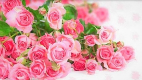 Bộ trưởng Nguyễn Hồng Diên gửi thư chúc mừng nhân Ngày Pháp luật Việt Nam năm 2021