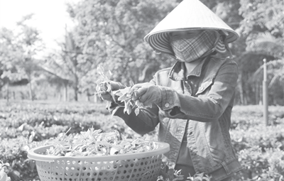 [Truyền thống Công Thương] Từng có thời kỳ chênh lệch xuất khẩu-nhập khẩu luôn bằng “0”