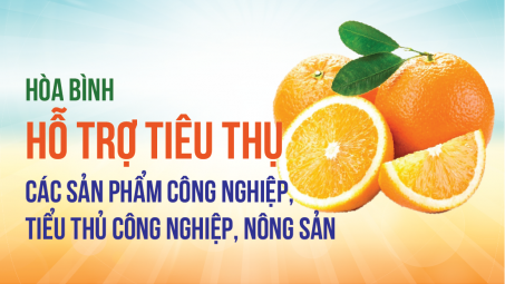 [eMagazine] Hòa Bình hỗ trợ tiêu thụ các sản phẩm công nghiệp, tiểu thủ công nghiệp, nông sản
