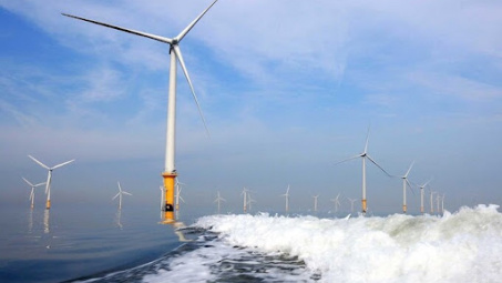 Vietnam Wind Power 2021: Bệ phóng cho thị trường phát triển điện gió ngoài khơi tại Việt Nam