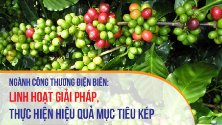 Điện Biên: Linh hoạt giải pháp, thực hiện hiệu quả mục tiêu kép