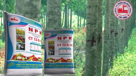 Phân bón Văn Điển: Nâng giá trị cây trồng chủ lực tại Tây Nguyên