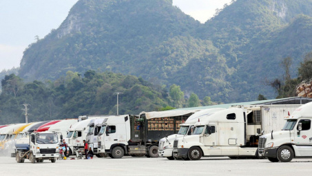 Phó Thủ tướng chỉ đạo khắc phục tình trạng ùn tắc nông sản tại các cửa khẩu trên địa bàn tỉnh Lạng Sơn