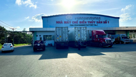 Thị trường Mỹ Latinh đổ xô “ăn hàng” cá tra, lợi thế lớn cho IDI