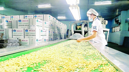 11 tháng, xuất khẩu hạt điều đạt trị giá 3,34 tỷ USD