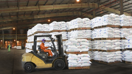 PVFCCo tiếp tục giữ vững vị thế doanh nghiệp đầu ngành phân bón