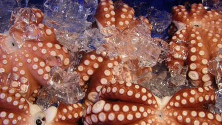 Việt Nam chiếm 50% thị phần bạch tuộc đông lạnh nhập khẩu của Hàn Quốc