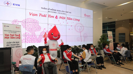 Lễ phát động Tuần lễ hồng EVN lần thứ VII