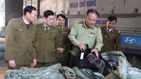 Một năm với những “trận đánh” lớn của lực lượng quản lý thị trường