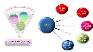 So sánh các phương pháp tính TFP và ứng dụng trong tính toán TFP cho các doanh nghiệp vừa và nhỏ ở Việt Nam