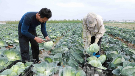 Bộ Công Thương hỗ trợ Hải Dương tiêu thụ nông sản