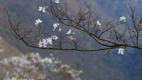 Thời tiết 25-2: Miền Bắc nhiều mây, nhiệt độ chênh lệch cao