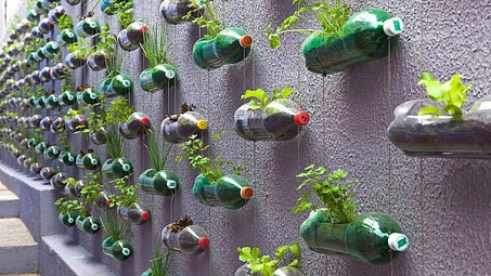 Những bất cập trong quy định pháp luật về hoạt động thẩm định báo cáo đánh giá tác động môi trường hiện nay tại Việt Nam và một số giải pháp hoàn thiện