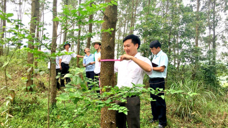 Tuyên Quang tăng cường khả năng tiếp cận với chuỗi cung ứng từ các FTAs thế hệ mới