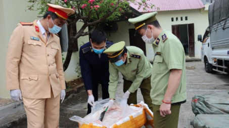 Sử dụng biển số xe giả vận chuyển 2,5 tấn nầm lợn đã biến chất