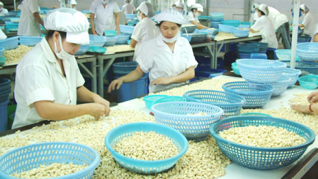 Tháng 1/2021, xuất khẩu điều tăng cả lượng và giá trị so cùng kỳ