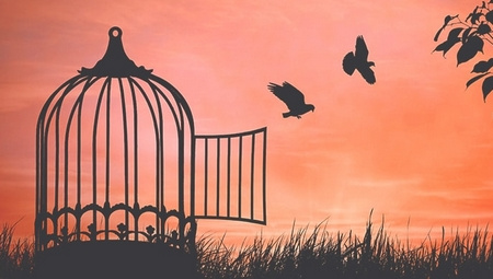 Vai trò, quyền hạn của Chủ tịch nước trong đặc xá