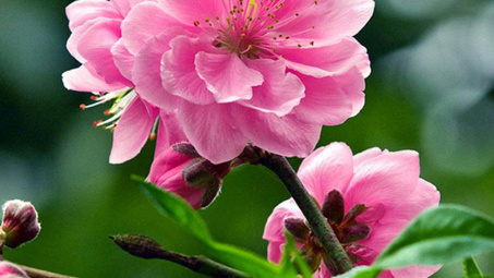 Thời tiết 6-2: Hà Nội nắng ấm, nền nhiệt tăng nhẹ