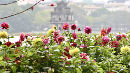 [Ảnh] Hồ Gươm lung linh muôn sắc hoa chào đón Tết Nguyên đán Tân Sửu 2021