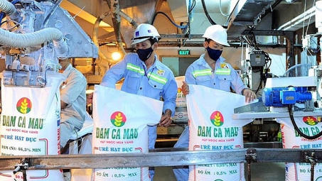 Doanh nghiệp phân bón “được mùa” trong năm Covid