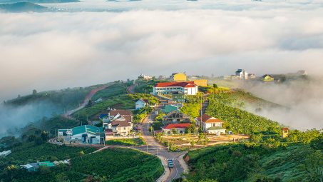 Đà Lạt có chi mà anh năng đi vậy?