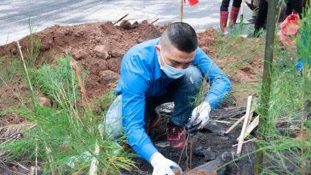 Than Thống Nhất: Phát động “Tết trồng cây đời đời nhớ ơn Bác Hồ” năm 2021