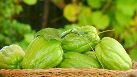 Các lợi ích không ngờ của quả su su