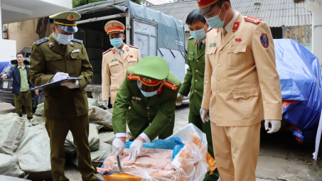 Bắt giữ hàng tấn nầm lợn đông lạnh đã bị nấm mốc