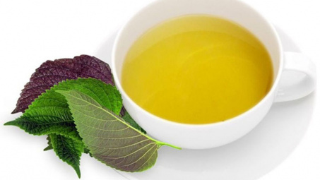 Nghiên cứu yếu tố ảnh hưởng đến quá trình sản xuất trà thảo mộc tía tô - cỏ ngọt