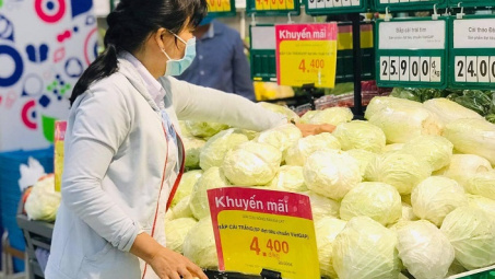 Hệ thống siêu thị Saigon Co.op đồng loạt giảm giá bắp cải Đà Lạt mạnh nhất từ trước tới nay