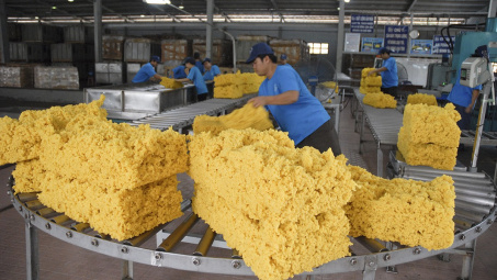 2 tháng đầu năm, xuất khẩu cao su tăng 109,9% về trị giá so với cùng kỳ