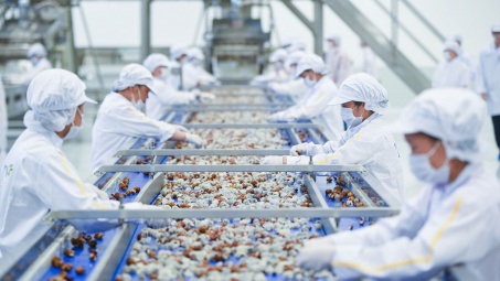 Việt Nam - Thị trường đầy tiềm năng cho các doanh nghiệp Ấn Độ