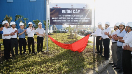 Nhà máy Nhiệt điện Vĩnh Tân 4: Hưởng ứng phong trào Tết trông cây năm 2021