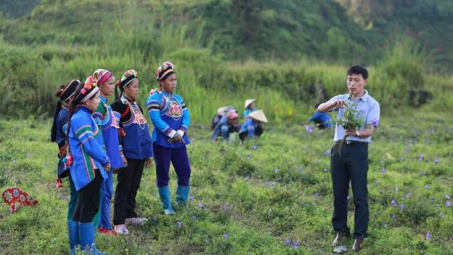 Đưa dược liệu vào nhóm xuất khẩu "tỷ đô": Còn rất nhiều việc phải làm