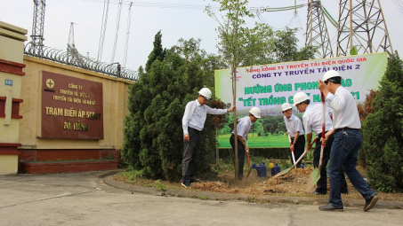 PTC2 hưởng ứng phong trào “Tết trồng cây” năm 2021