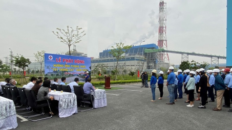 Công ty Nhiệt điện Thái Bình: Hưởng ứng phong trào "Tết trồng cây" năm 2021