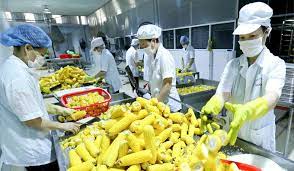 Vượt rào cản thương mại trong xuất khẩu nông sản sang thị trường Mỹ: Nghiên cứu trường hợp của Thái Lan