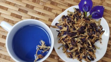 Nghiên cứu quy trình chiết anthocyanin từ hoa đậu biếc khô ứng dụng làm chất chỉ thị phát hiện hàn the