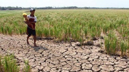 Ứng phó với xâm nhập mặn tại ĐBSCL