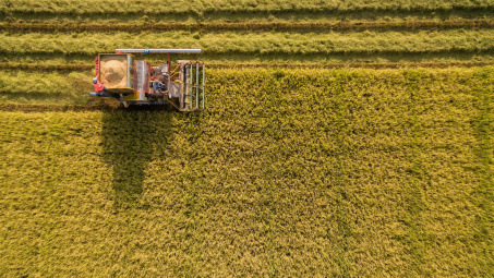 Thái Lan: Đặt mục tiêu xuất khẩu 6 triệu tấn gạo năm 2021