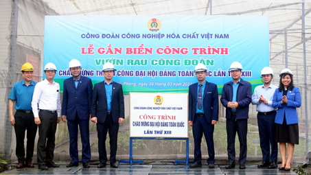 Công đoàn Vinachem: Gắn biển công trình "Vườn rau Công đoàn"